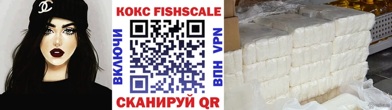 где купить наркоту  Гусиноозёрск  Кокаин FishScale 